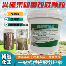 �S����ĵ��w��ˮ�a�Bֳ�ֽ������������⁆�����}�S���