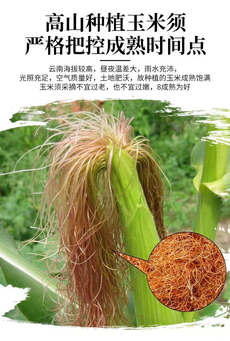 Corn Silk (Zea mays) — Dried Yu Mi Xu Herbal Tea, 500g Food-Herb for Daily Infusions overview