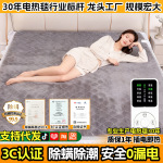 加大电热毯双人家用双温双控智能防漏电小四人电褥子电热毯3c认证