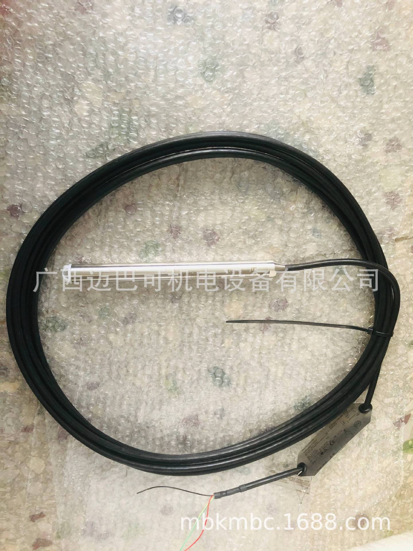 E+H投入式液位计 FMX21-19E2/0