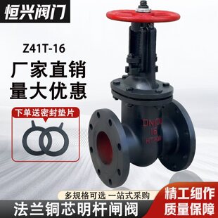 Z45T-16���U���m�l�y �ք��T�F�l���yDN40 50 65 80 100 150 200