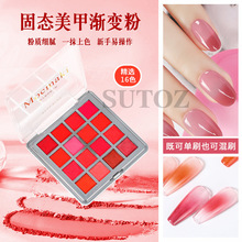 Nail Solid Powder Popular Joker 16 Toner Fine Quality Big