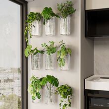 ˮ��ֲ��������Ϡ�͸���G�}�����r��ƿ����Ҿ��b��ڒ���Ä�