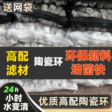 ~մɭh^VĲ^Vϰ׭h~^ϼ{ʯӢ~^VV