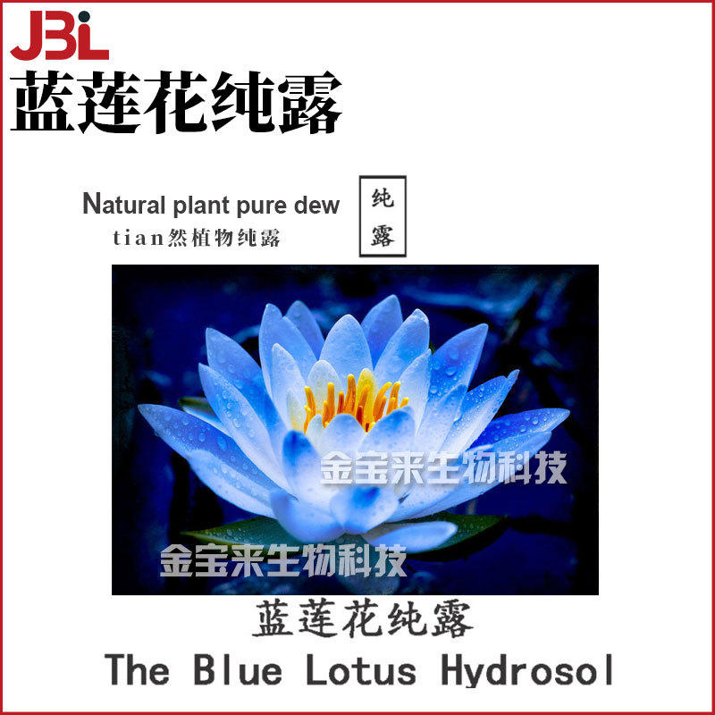 蓝莲花纯露 植物花水 保湿护肤 化妆品原料 1kg