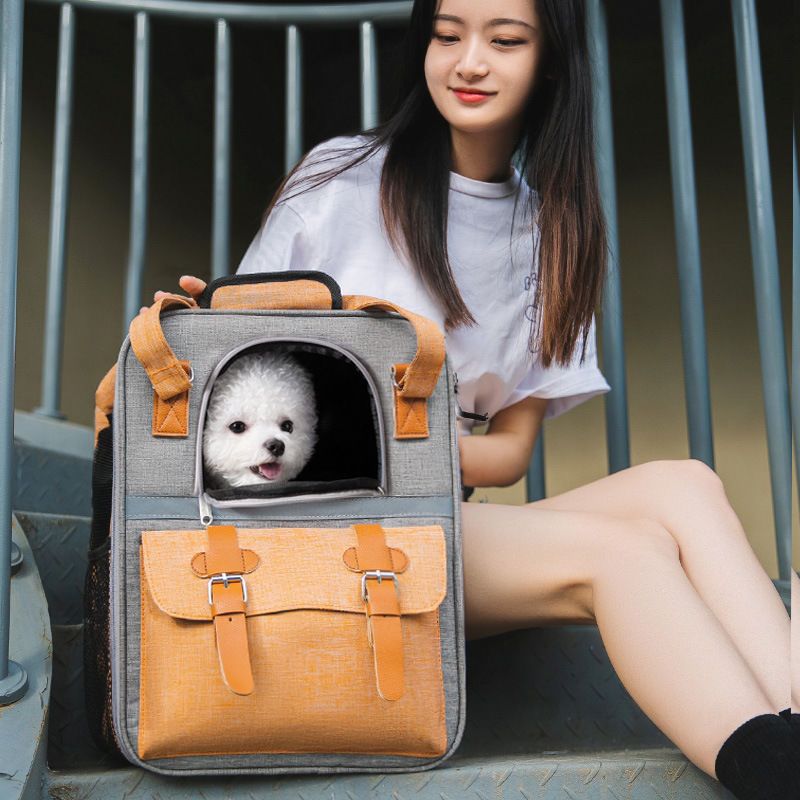 宠物双肩包猫咪手拎提笼子外出中小型犬狗透气大容量背书包便携兔