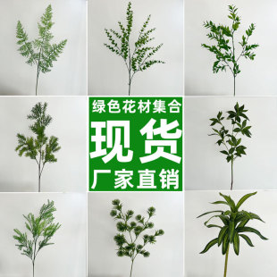 ����Gֲ��cɭϵ�Gɫ�~�Ӳ��Ñ����ƺ��Y�b廨�ٻ�ֱ�N���l