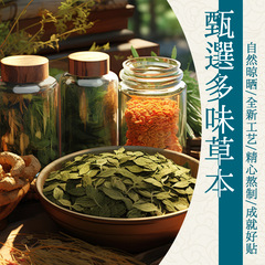 Beijing Tongrentang herbal bone-penetrating patch manufacturer wholesale household neck, shoulder, waist and leg rich and noble joint plaster patch