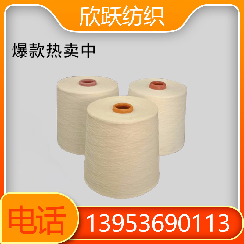 Regenerated Polyester Yarn 40 Bottles Recycled Polyester Yarn Recycled and Provides Certification Certificate