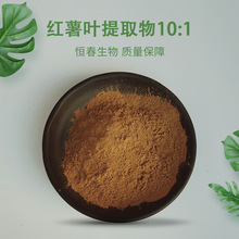 红薯叶提取物10:1  红薯叶粉 番薯叶提取物 现货供应 恒春生物