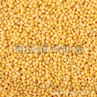 绿豆脱皮机 绿豆去皮机 越南 韩国 马来西亚 印度绿豆扒皮机 整粒