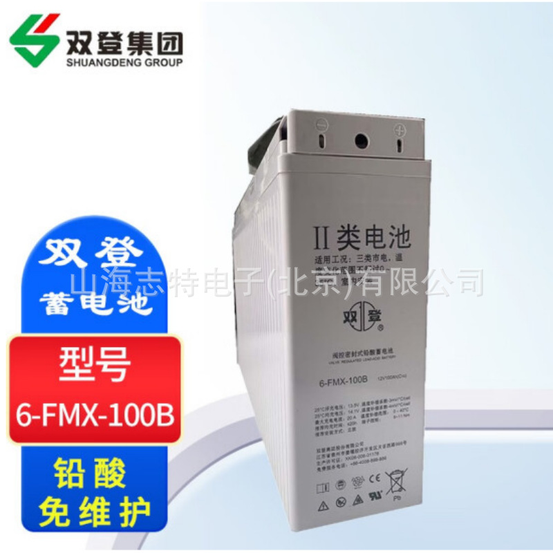 双登狭长型6-FMX-200B免维护铅酸蓄电池12V200AH UPS通信电源基站
