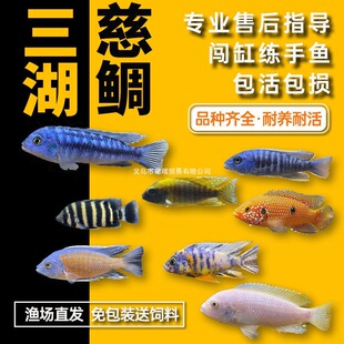 ���������~���ӟᎧ�^�p�~��С�͵�ˮ���B�׻��R��̹��С���~���w