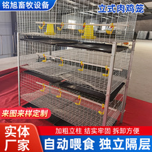 ���ƌӯBʽ��ʽ���u�\�Bֳ���Ԅ��B�u�\���u�\ȫ���O��S��ֱ��