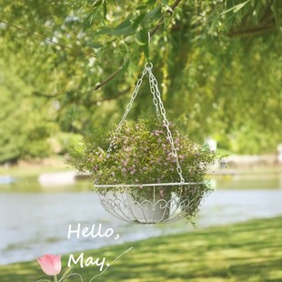 temu TK���R�d �羳 �Fˇ���@ �Wʽ��@���@��@�Ғ컨�� ���@