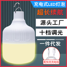 摆摊灯夜市灯跨境新款露营灯USB灯泡摆地摊家用L户外充电照明灯