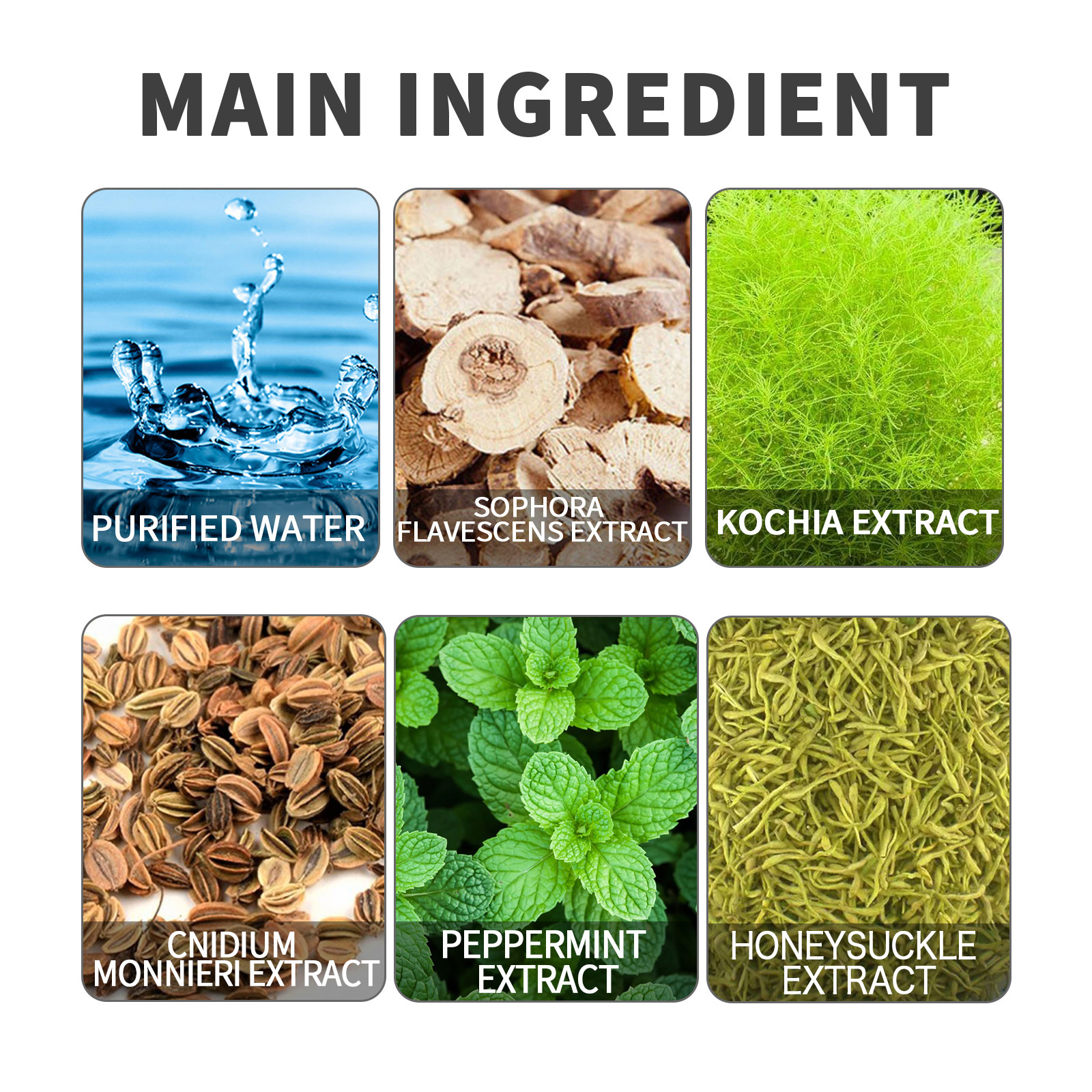 EELHOE Női Bőrápoló Spray a viszketés és kellemetlen érzés enyhítésére, a testszag megszüntetésére és a női bőr gyengéd ápolására_voghion.com