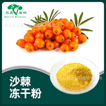 沙棘提取物 沙棘果粉/冻干粉99%  沙棘黄酮维生素C天然果蔬提取物