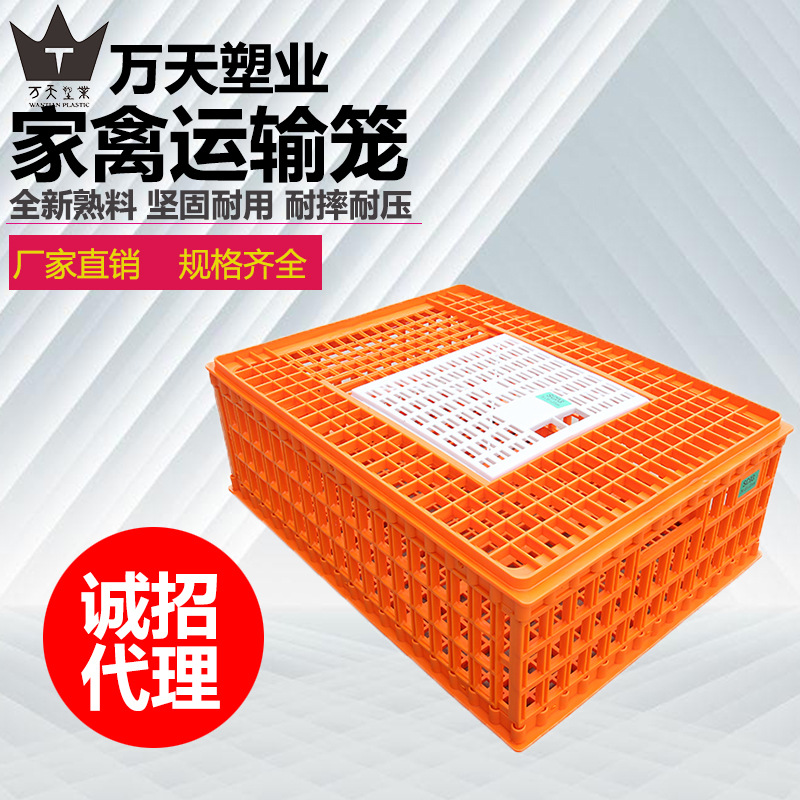 塑料鸡鸭笼周转箱成鸡运输笼蛋鸡笼鸽笼子养殖鸡筐