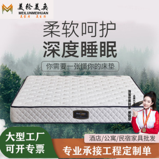 3D Coconut Spring Mattress 1.8 m 1.5m Double Ridge Guard Hard Mat Optional Folding Household Spring Hard Mattress