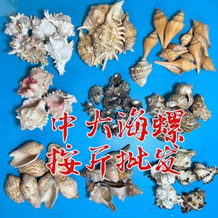 ��Ȼ����ؐ�������к��ݴ����~��ˮ�幤ˇƷ���μo��Ʒ���l