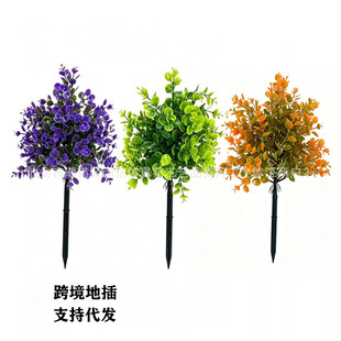 �羳�����ᔷ����ȼ����ز��������ͥԺ�Ҿ��b��쾰�Gֲ�[��