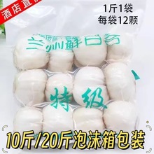 甘肃兰州百合新挖新鲜百合食用甜百合兰州鲜百合水果酒店市场批发