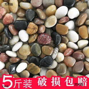 5���Z��ʯ�껨ʯԭʯ��ȻСʯ�^ʯ���~�׻����b�����Zܛʯ�·