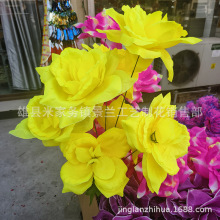 ���^�o������õ�� ˮ���� ���w�� ��̺ ��Ȧ�Ț�����Ʒ�S�����l