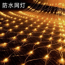 led�O�W�ʟ��W���M���ǟ�ͥԺ������������̫����֘����ƺ��