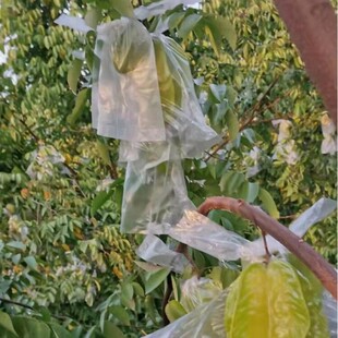 ���]�r�I�������ח��ұ�Ĥ�״���ʯ����������������x����ˮ����