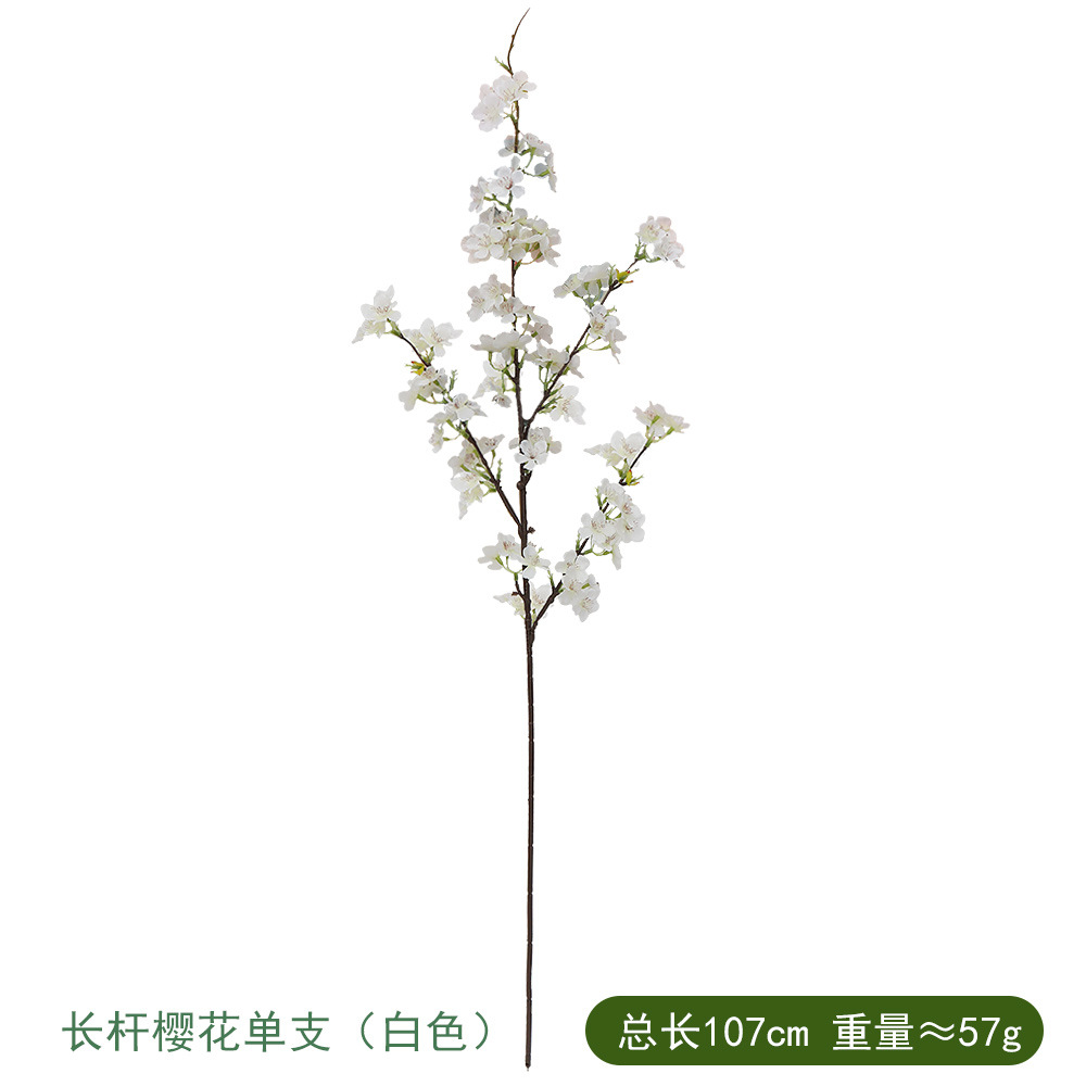 긴 사쿠라 싱글 화이트