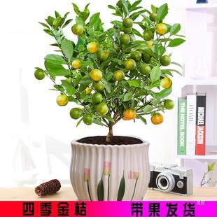 �ļ���ۘ������Ԏ����͏dֲ���҃Ȼ��ܾGֲС�����辰������