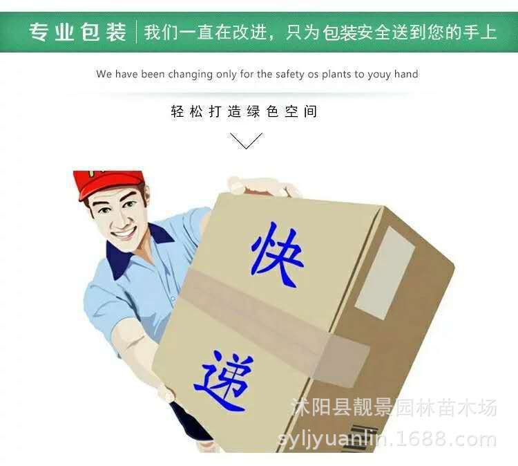 微信图片_20200824221034