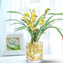 ˮ����ˮ�m������Sɫ�҃�ֲ������ļ��������ͺ�ֲ�ﶬ��������