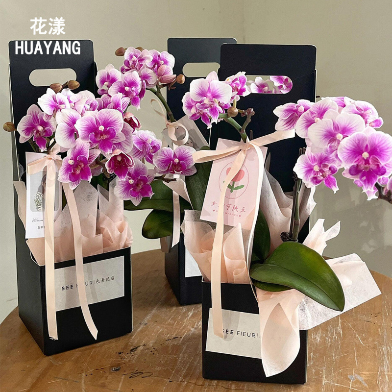 XC蝴蝶兰包装盒鲜花手提礼盒单支花束兰花盆栽打包花篮纸盒子