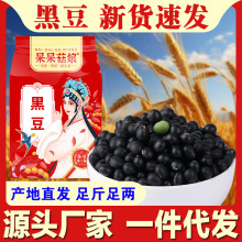 批发绿芯黑豆1斤生黑豆大黑豆磨豆浆的原料五谷杂粮青仁大豆新货