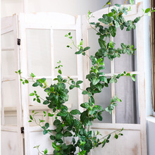仿真绿植藤蔓藤条假树叶空调管道缠绕装饰遮挡美化葡萄叶吊顶绿萝