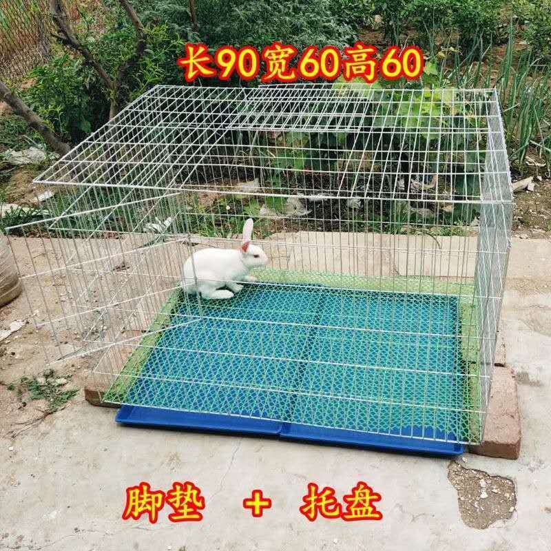 1061da2e-55e9-4af7-b33b-b5f651f2af33.jpe