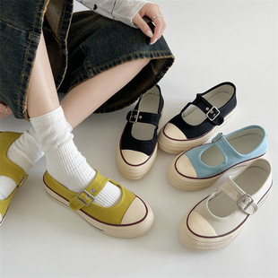 Queen Style Retro Thick-Soled Shallow Mouth Mary Jane Shoes for Women 2025 New Summer Korean Style Canvas Shoes with Skirts