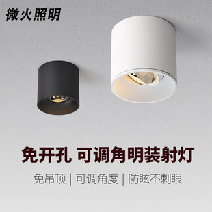Small Round Surface-Mounted Spotlight Led Downlight with Adjustable Angle, Ceiling-Mounted, Anti-Glare, No Opening, Home Living Room, Accessible Luxury Aluminum
