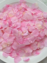 ?��������ٻ��껨���֒��������һ�����ѻ��������仨