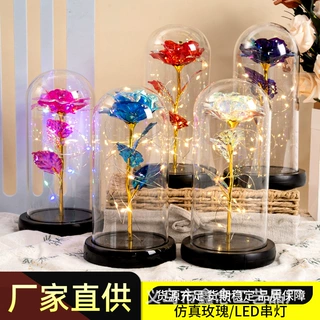 亚克力灯罩永生玫瑰仿真花 工厂直营 七夕情人节创意节日礼物摆件