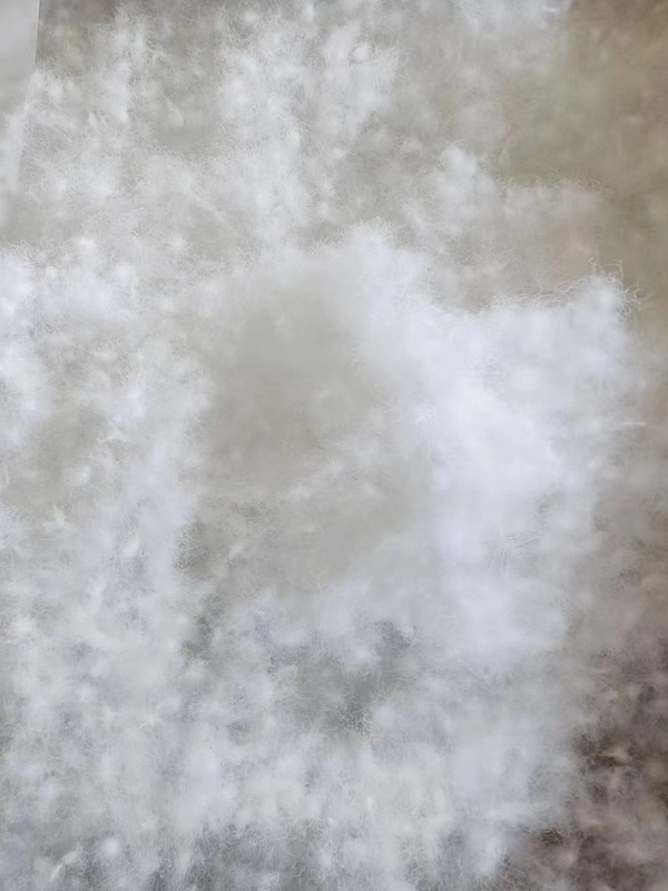 Bulk High-End 95% White Goose down 5A Grade Red-Billed Goose Duck down for down Jackets and Duvet Fillings Bulk High-End 95% White Goose down 5A Grade Red-Billed Goose Duck down for down Jackets and Duvet Fillings