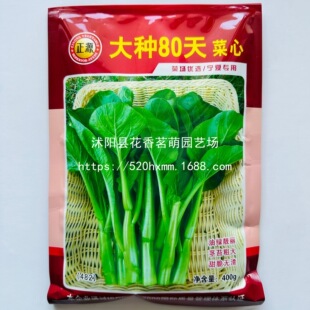 ��N80��A�~���Ĵ䌚70����~�����t��80�����