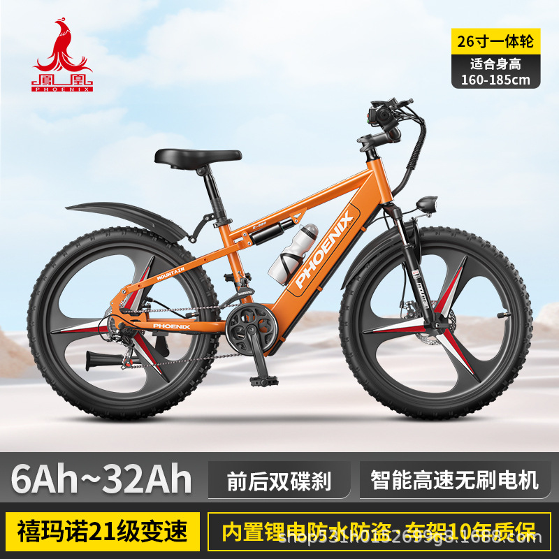 Bicicletas eléctricas asistidas por Phoenix Vehículo eléctrico masculino para mujeres Bicicletas eléctricas asistidas por litio Bicicletas de viaje