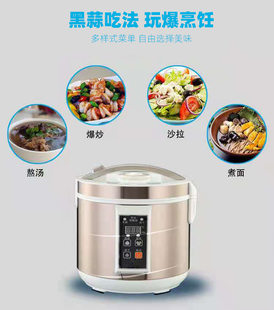 Factory exports Vietnam Southeast Asian black garlic fermented black garlic machine, black garlic, black garlic, black garlic fermented pot