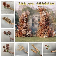 ������ɫϵ���滨��ɫ����ɫ��Y��c�bٻ���ɫܛ�b�������û�