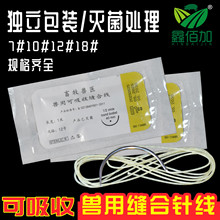 兽用可吸收缝合线 猪牛羊用免拆可吸收羊肠线 动物手术张合针线