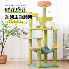 猫の棚の猫の巣の猫の木の一体の敷地は多くないです。